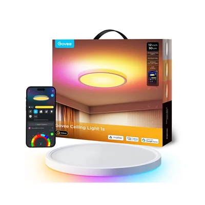 چراغ سقفی هوشمند 30 سانتی گووی Govee Smart Ceiling Light 1S H80A1